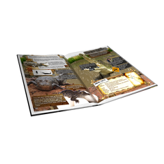 3D Safari Book